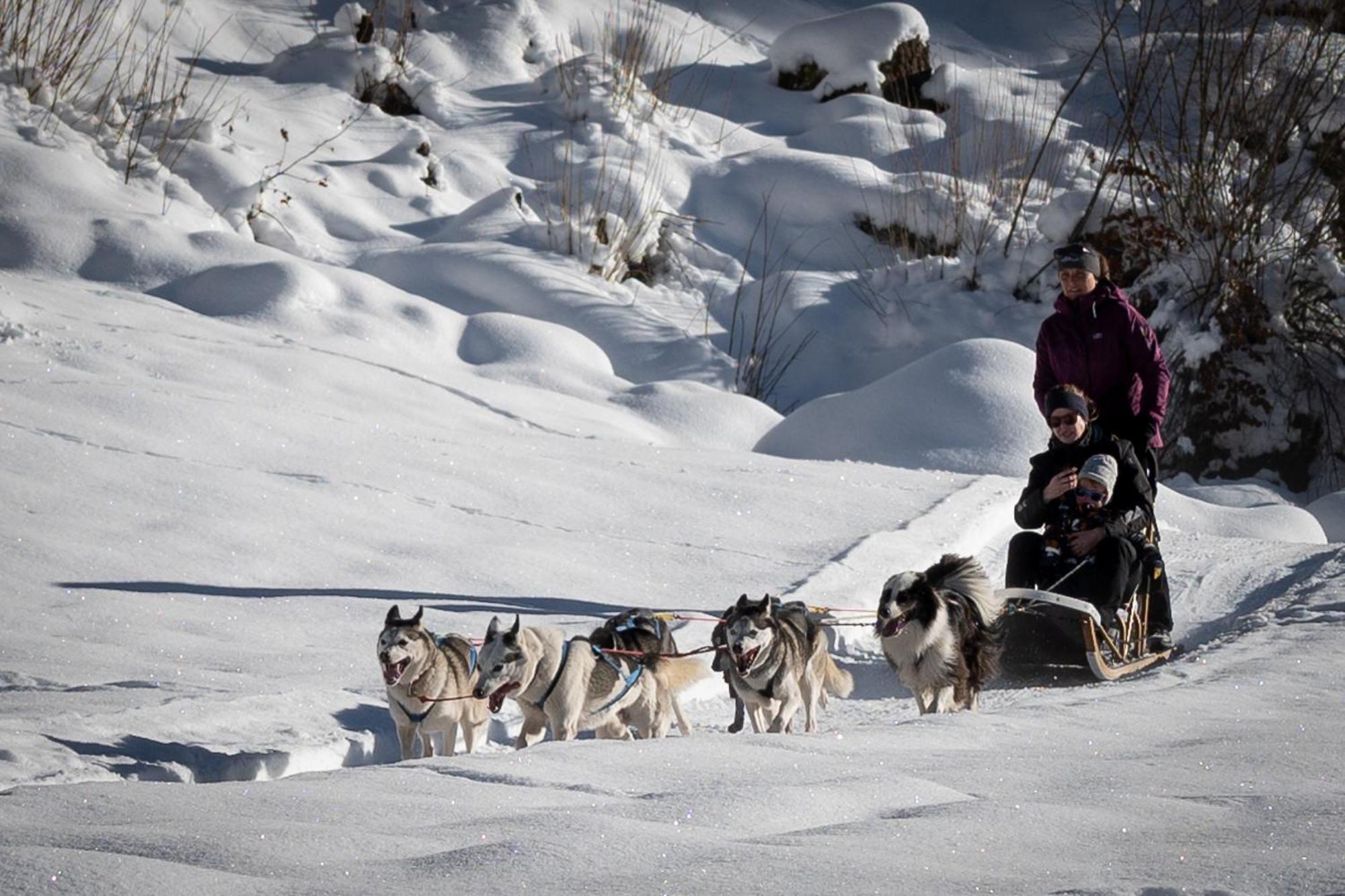 Huettenhotel Husky Lodge Muotathal Dış mekan fotoğraf
